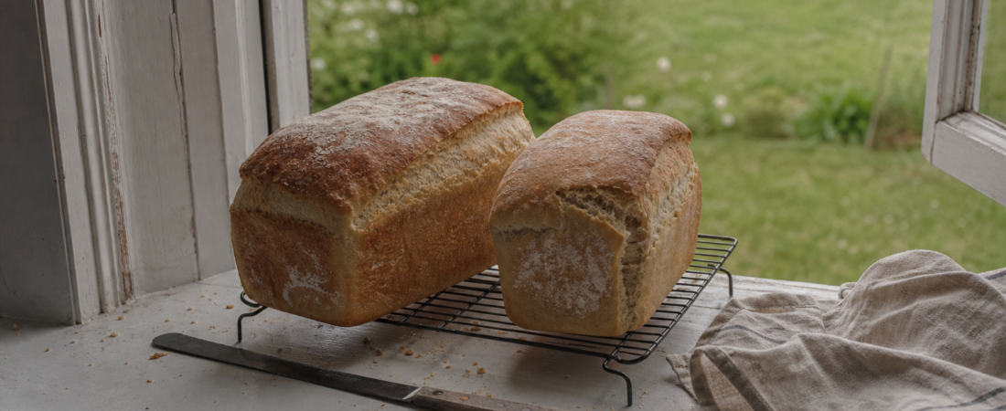 Homemade White Bread